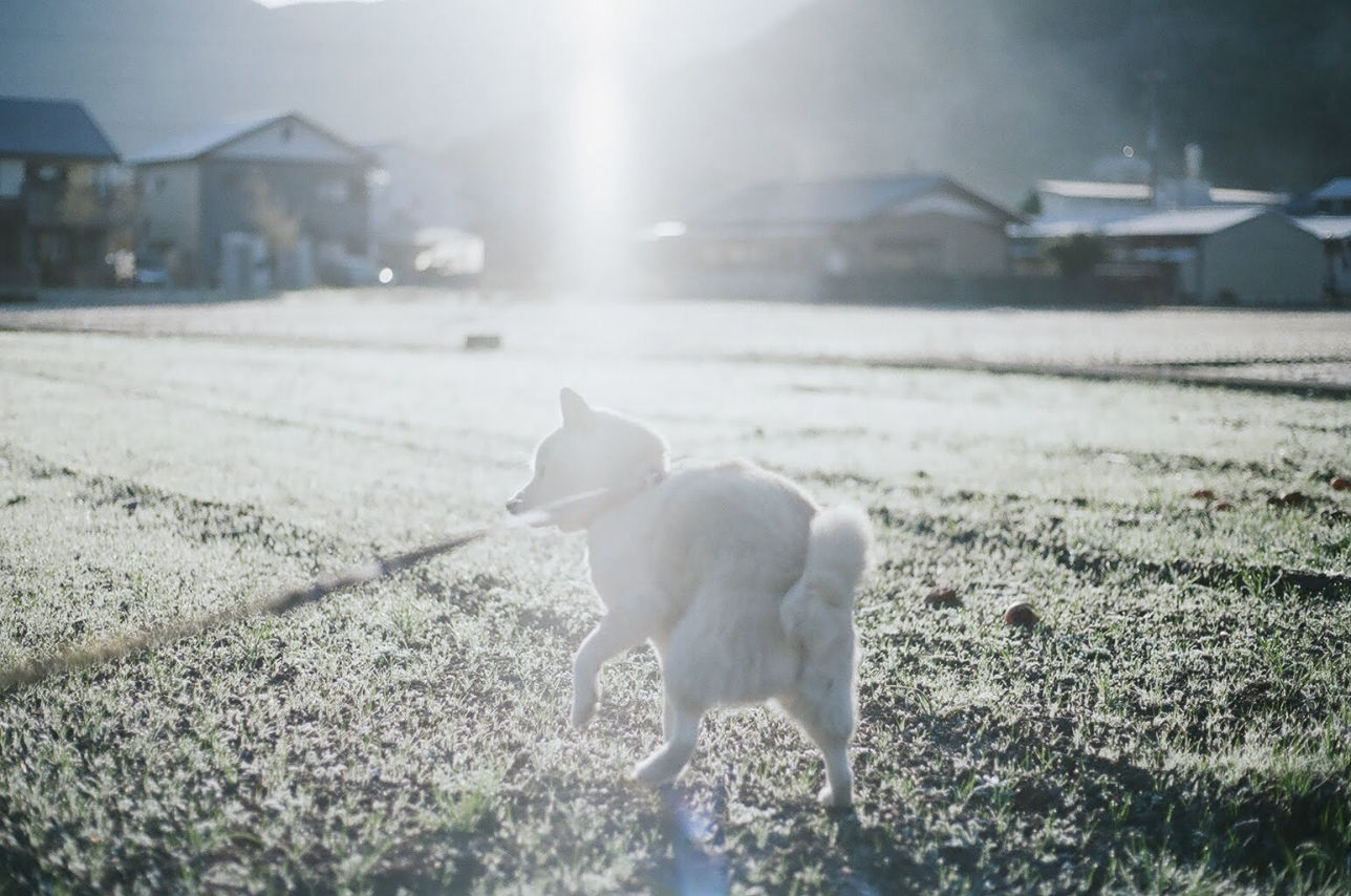 家族写真